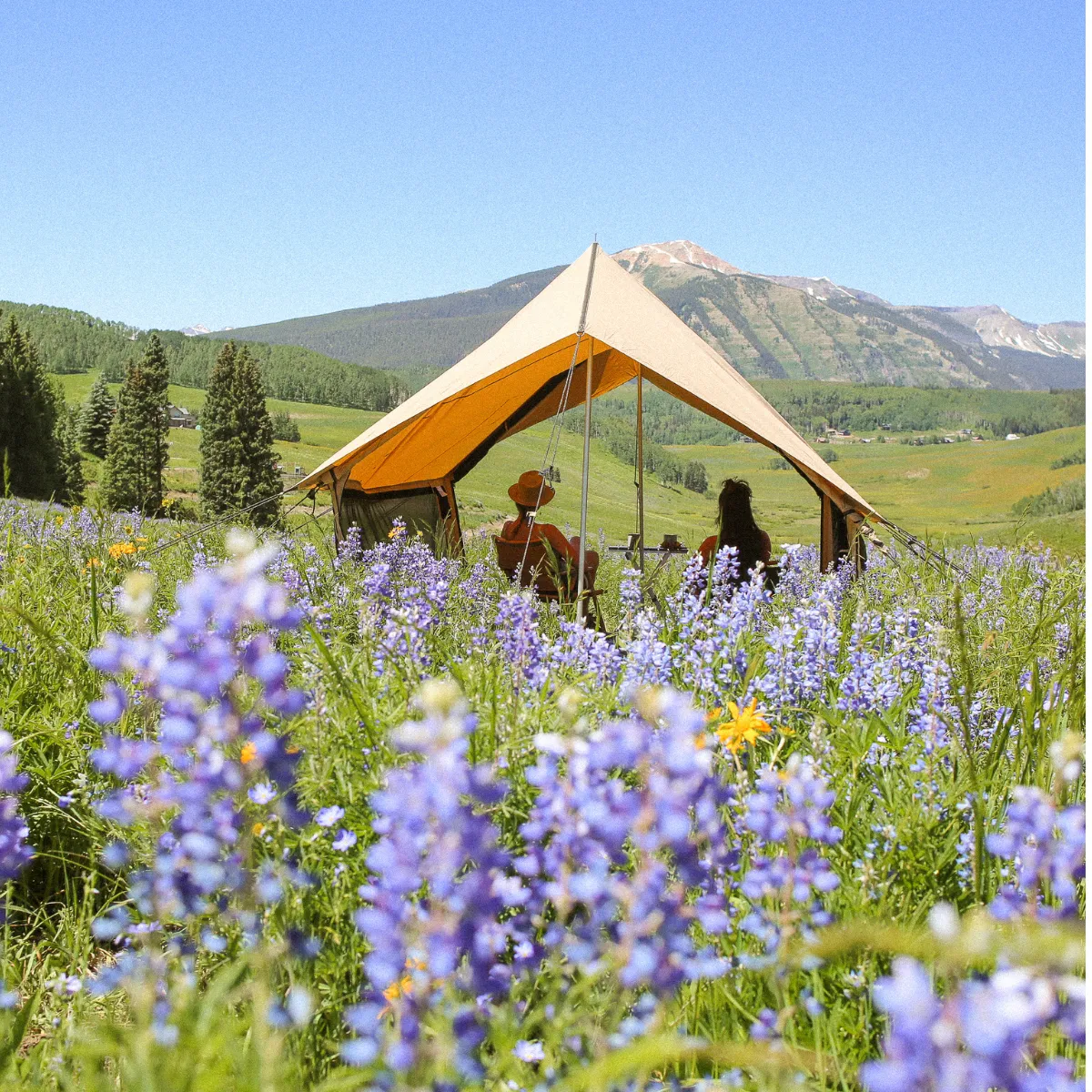 Rover Scout Tent