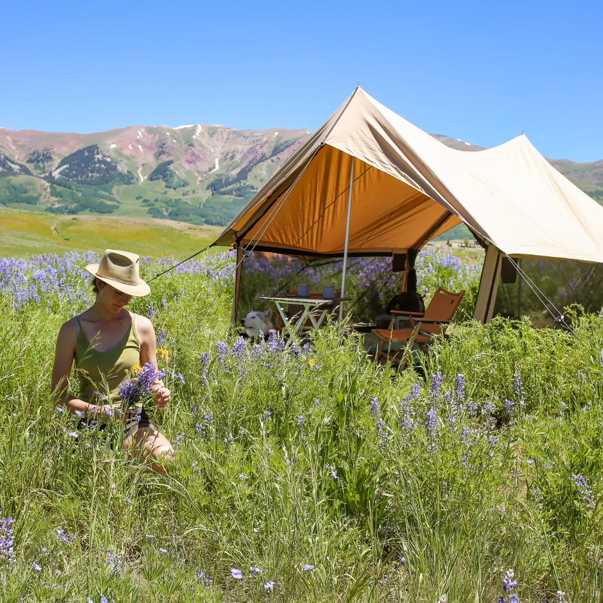 Rover Scout Tent